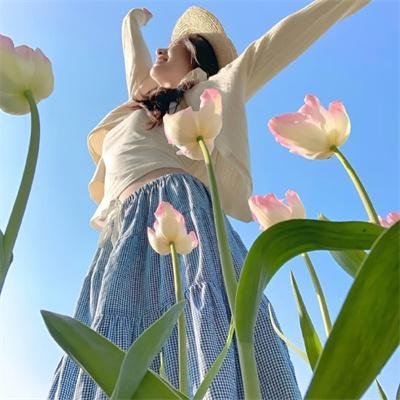 中央公园第二季